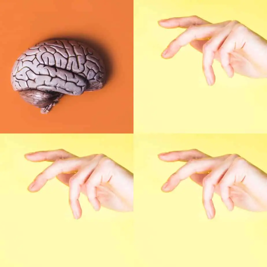 A  tile display of 4 images as part of a 4 square mosaic, three of them being pictures of "hands" whilst the fourth one is a picture of a "brain". 