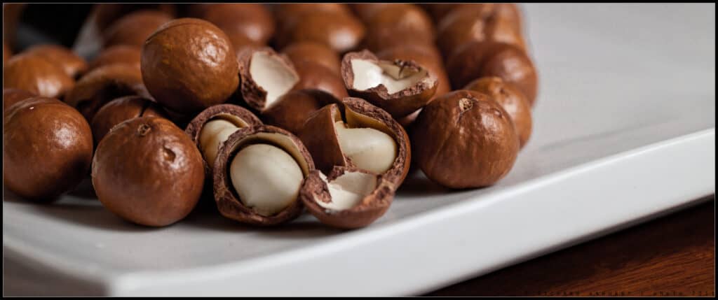A closeup of maccadmeia nuts.