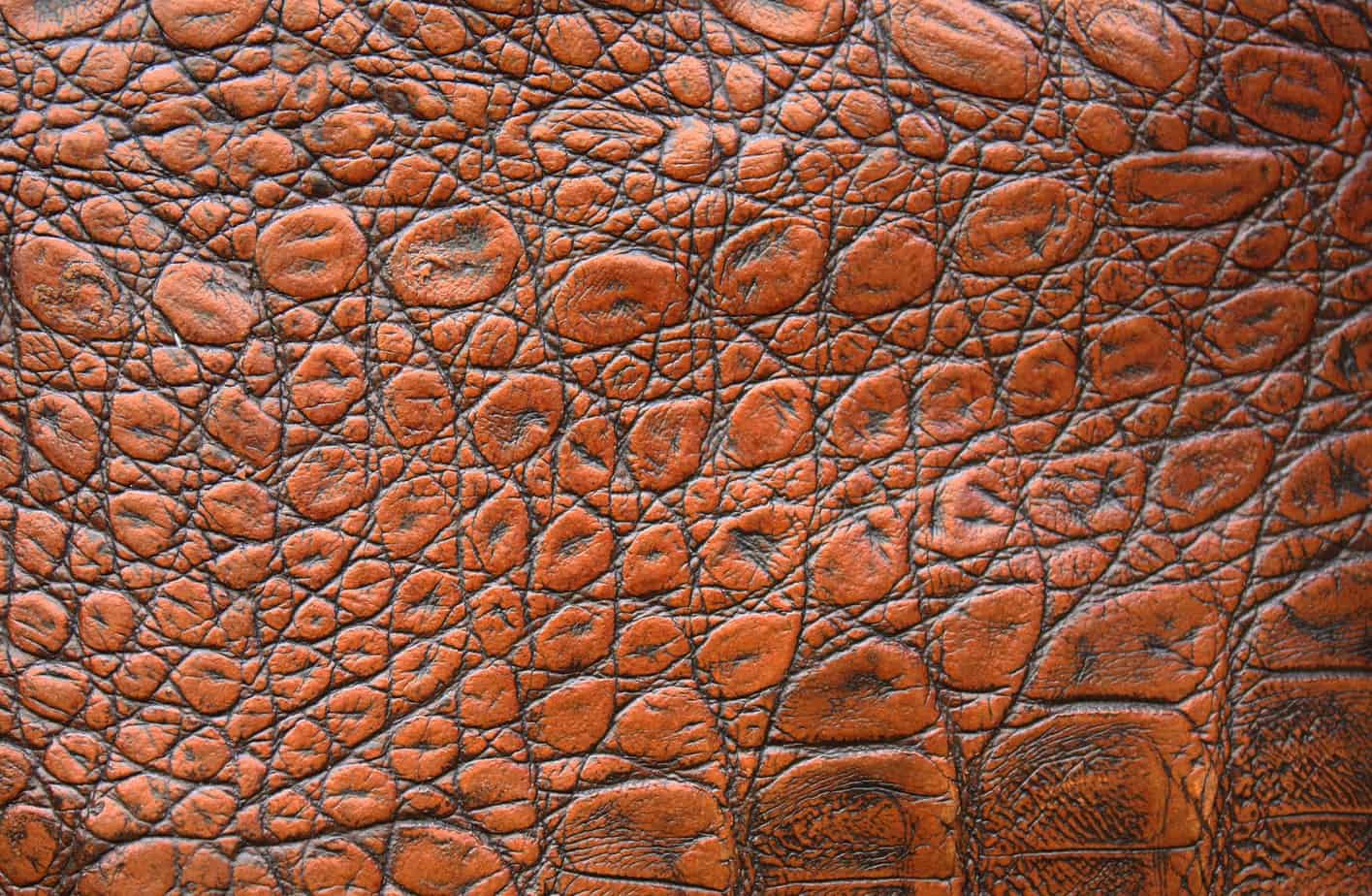 Cloeseup of brown leather skin